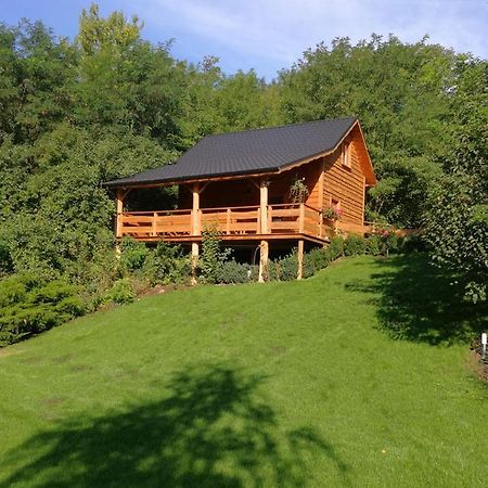 Villa Eden Ślesin Exterior foto
