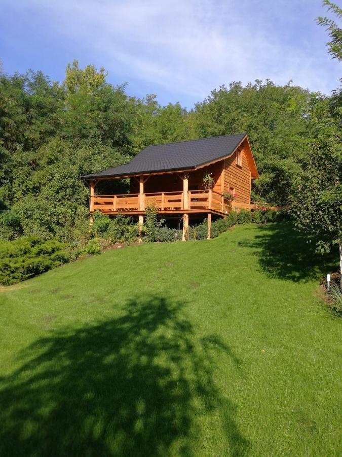 Villa Eden Ślesin Exterior foto