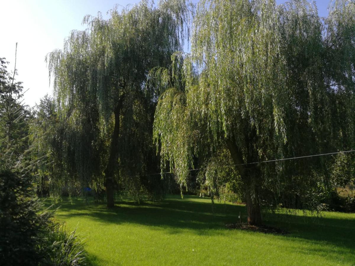 Villa Eden Ślesin Exterior foto